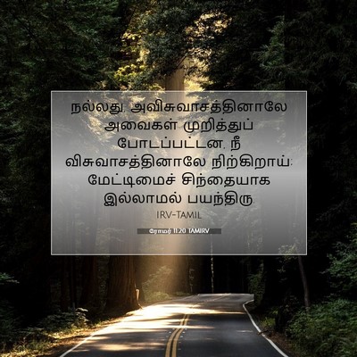 Picture 07 - ரோமர் 11:20 TAMIRV - நல்லது, - Bible Verse Picture