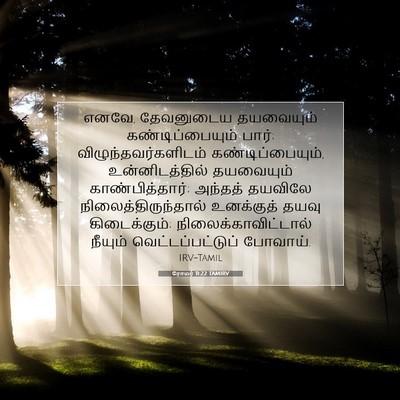 Picture 07 - ரோமர் 11:22 TAMIRV - எனவே, தேவனுடைய - Bible Verse Picture