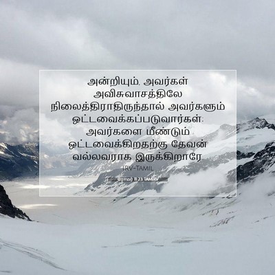 Picture 07 - ரோமர் 11:23 TAMIRV - அன்றியும், - Bible Verse Picture