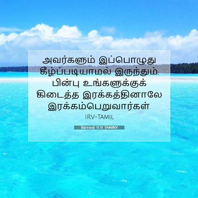Picture 07 - ரோமர் 11:31 TAMIRV - அவர்களும் - Bible Verse Picture