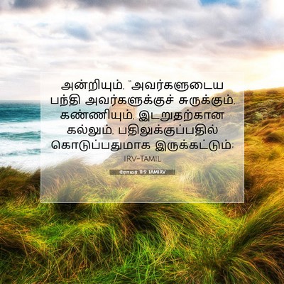 Picture 07 - ரோமர் 11:9 TAMIRV - அன்றியும், - Bible Verse Picture