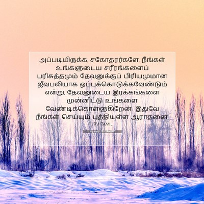 Picture 07 - ரோமர் 12:1 TAMIRV - அப்படியிருக்க, - Bible Verse Picture