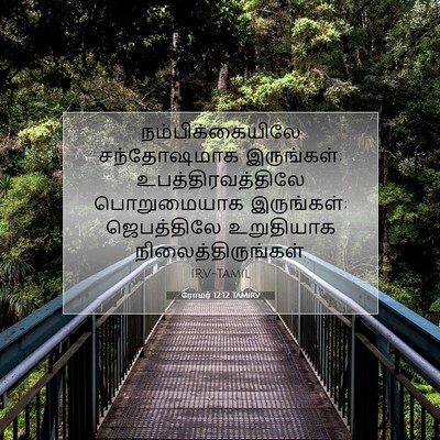 Picture 07 - ரோமர் 12:12 TAMIRV - நம்பிக்கையிலே - Bible Verse Picture