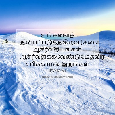Picture 07 - ரோமர் 12:14 TAMIRV - உங்களைத் - Bible Verse Picture