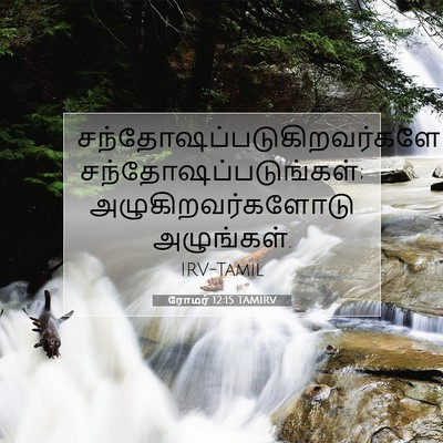 Picture 07 - ரோமர் 12:15 TAMIRV -  - Bible Verse Picture