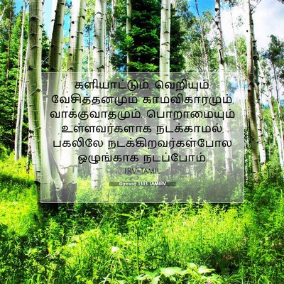 Picture 07 - ரோமர் 13:13 TAMIRV - களியாட்டும், - Bible Verse Picture