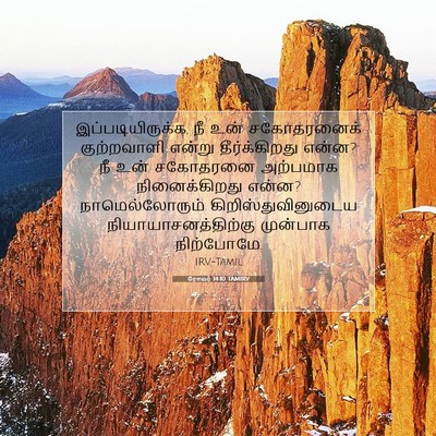 Picture 07 - ரோமர் 14:10 TAMIRV - இப்படியிருக்க, நீ - Bible Verse Picture
