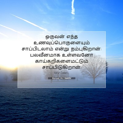 Picture 07 - ரோமர் 14:2 TAMIRV - ஒருவன் எந்த - Bible Verse Picture
