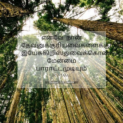 Picture 07 - ரோமர் 15:17 TAMIRV - எனவே, நான் - Bible Verse Picture