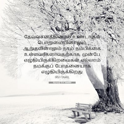 Picture 07 - ரோமர் 15:4 TAMIRV - தேவவசனத்தினால் - Bible Verse Picture