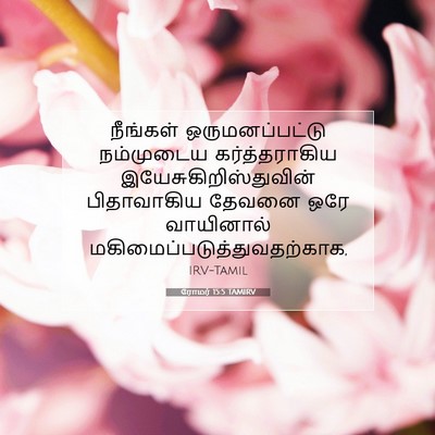 Picture 07 - ரோமர் 15:5 TAMIRV - நீங்கள் - Bible Verse Picture