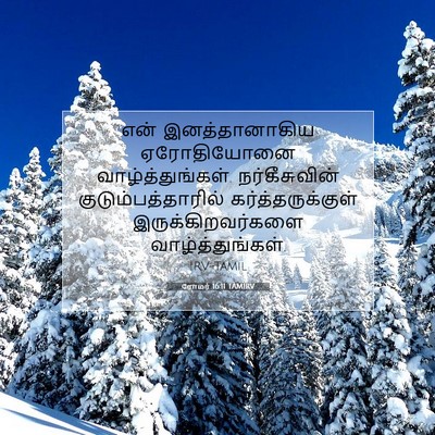 Picture 07 - ரோமர் 16:11 TAMIRV - என் இனத்தானாகிய - Bible Verse Picture