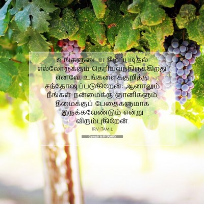 Picture 07 - ரோமர் 16:19 TAMIRV - உங்களுடைய - Bible Verse Picture