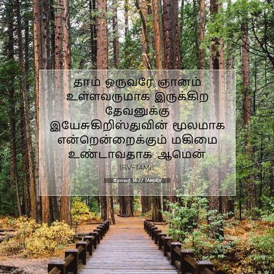 Picture 07 - ரோமர் 16:27 TAMIRV - தாம் ஒருவரே ஞானம் - Bible Verse Picture