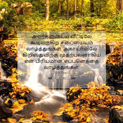 Picture 07 - ரோமர் 16:5 TAMIRV - அவர்களுடைய - Bible Verse Picture