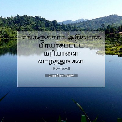 Picture 07 - ரோமர் 16:6 TAMIRV - எங்களுக்காக - Bible Verse Picture