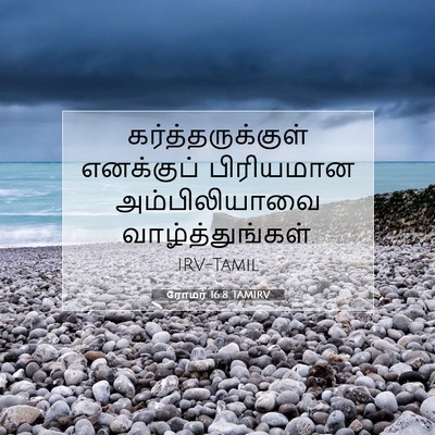 Picture 07 - ரோமர் 16:8 TAMIRV - கர்த்தருக்குள் - Bible Verse Picture