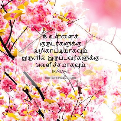 Picture 07 - ரோமர் 2:19 TAMIRV - நீ உன்னைக் - Bible Verse Picture