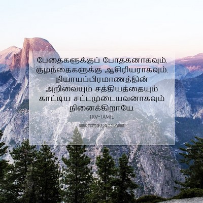 Picture 07 - ரோமர் 2:20 TAMIRV - பேதைகளுக்குப் - Bible Verse Picture