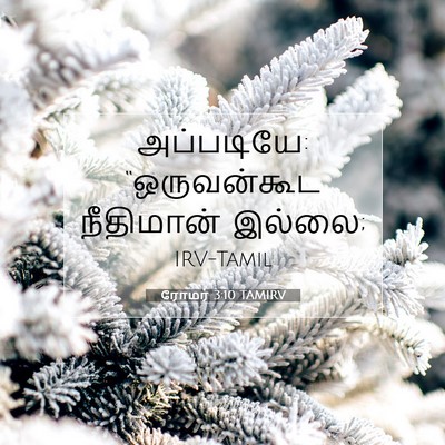 Picture 07 - ரோமர் 3:10 TAMIRV - அப்படியே: - Bible Verse Picture