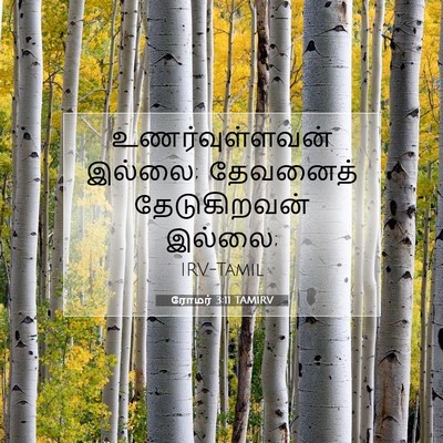 Picture 07 - ரோமர் 3:11 TAMIRV - உணர்வுள்ளவன் - Bible Verse Picture