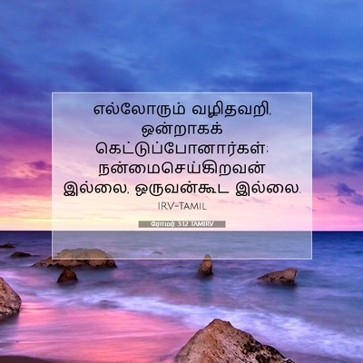 Picture 07 - ரோமர் 3:12 TAMIRV - எல்லோரும் - Bible Verse Picture