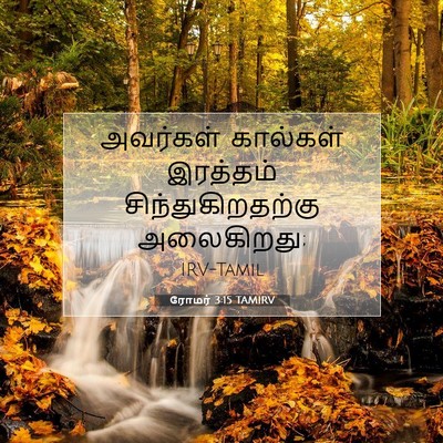 Picture 07 - ரோமர் 3:15 TAMIRV - அவர்கள் கால்கள் - Bible Verse Picture