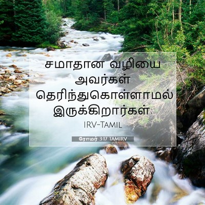 Picture 07 - ரோமர் 3:17 TAMIRV - சமாதான வழியை - Bible Verse Picture