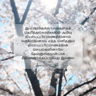 Picture 07 - ரோமர் 3:20 TAMIRV - இப்படியிருக்க, - Bible Verse Picture