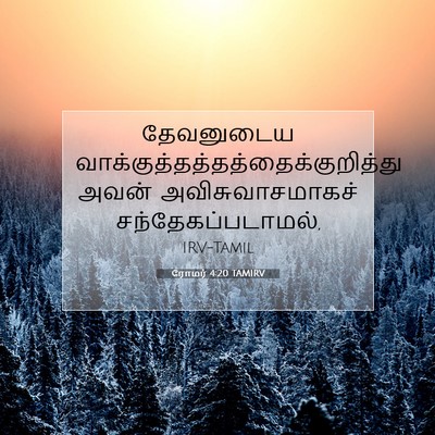 Picture 07 - ரோமர் 4:20 TAMIRV - தேவனுடைய - Bible Verse Picture