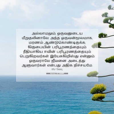 Picture 07 - ரோமர் 5:17 TAMIRV - அல்லாமலும், - Bible Verse Picture