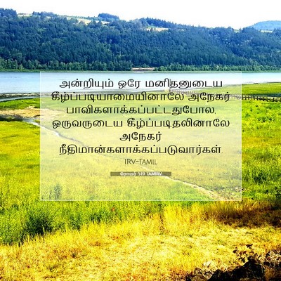 Picture 07 - ரோமர் 5:19 TAMIRV - அன்றியும் ஒரே - Bible Verse Picture
