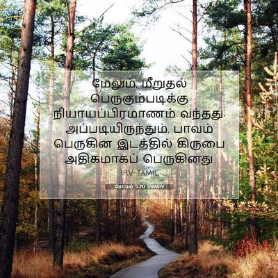 Picture 07 - ரோமர் 5:20 TAMIRV - மேலும், மீறுதல் - Bible Verse Picture