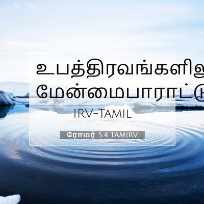 Picture 07 - ரோமர் 5:4 TAMIRV -  - Bible Verse Picture