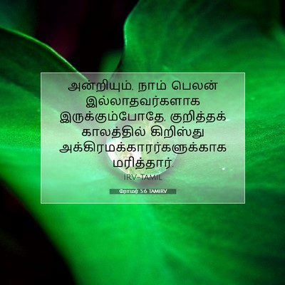 Picture 07 - ரோமர் 5:6 TAMIRV - அன்றியும், நாம் - Bible Verse Picture