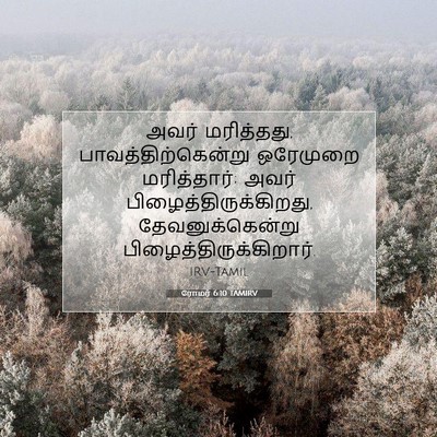 Picture 07 - ரோமர் 6:10 TAMIRV - அவர் மரித்தது, - Bible Verse Picture