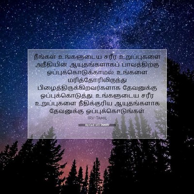 Picture 07 - ரோமர் 6:13 TAMIRV - நீங்கள் உங்களுடைய - Bible Verse Picture