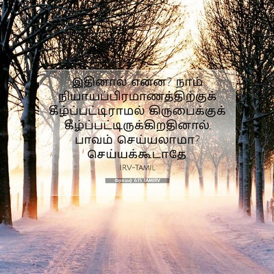 Picture 07 - ரோமர் 6:15 TAMIRV - இதினால் என்ன? நாம் - Bible Verse Picture
