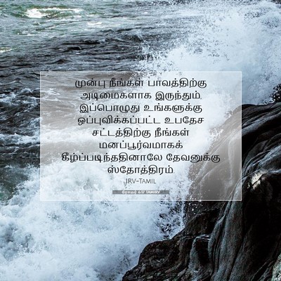 Picture 07 - ரோமர் 6:17 TAMIRV - முன்பு நீங்கள் - Bible Verse Picture
