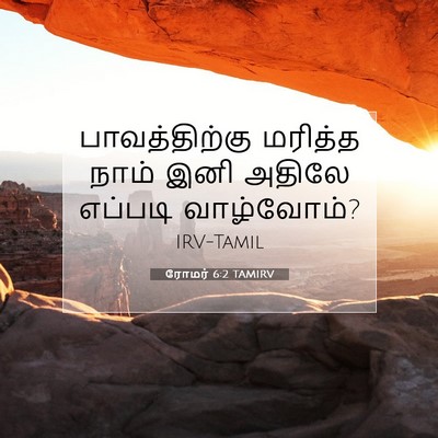 Picture 07 - ரோமர் 6:2 TAMIRV - பாவத்திற்கு - Bible Verse Picture