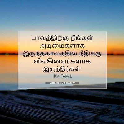 Picture 07 - ரோமர் 6:20 TAMIRV - பாவத்திற்கு - Bible Verse Picture