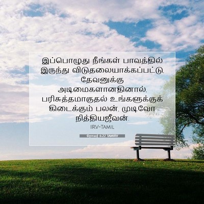 Picture 07 - ரோமர் 6:22 TAMIRV - இப்பொழுது நீங்கள் - Bible Verse Picture