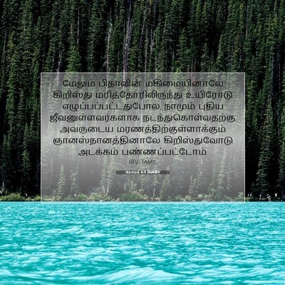 Picture 07 - ரோமர் 6:4 TAMIRV - மேலும் பிதாவின் - Bible Verse Picture