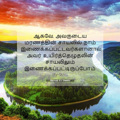 Picture 07 - ரோமர் 6:5 TAMIRV - ஆகவே, அவருடைய - Bible Verse Picture