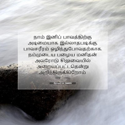 Picture 07 - ரோமர் 6:6 TAMIRV - நாம் இனிப் - Bible Verse Picture