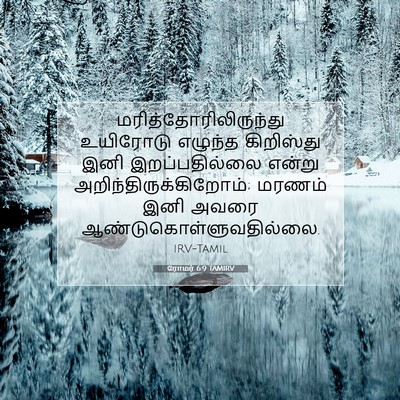 Picture 07 - ரோமர் 6:9 TAMIRV -  - Bible Verse Picture