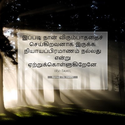 Picture 07 - ரோமர் 7:16 TAMIRV - இப்படி நான் - Bible Verse Picture