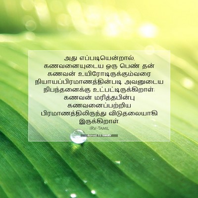 Picture 07 - ரோமர் 7:2 TAMIRV - அது - Bible Verse Picture