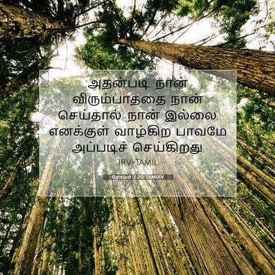 Picture 07 - ரோமர் 7:20 TAMIRV - அதன்படி, நான் - Bible Verse Picture