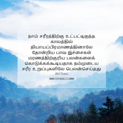 Picture 07 - ரோமர் 7:5 TAMIRV - நாம் சரீரத்திற்கு - Bible Verse Picture